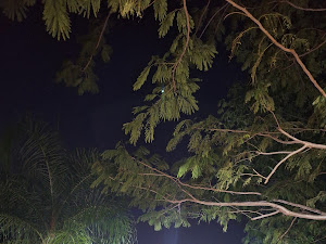 Foto de su estancia compartida por ALMA ARIAS