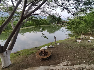 Foto de su estancia compartida por martin godinez