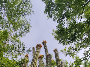 Foto de su estancia compartida por martin godinez
